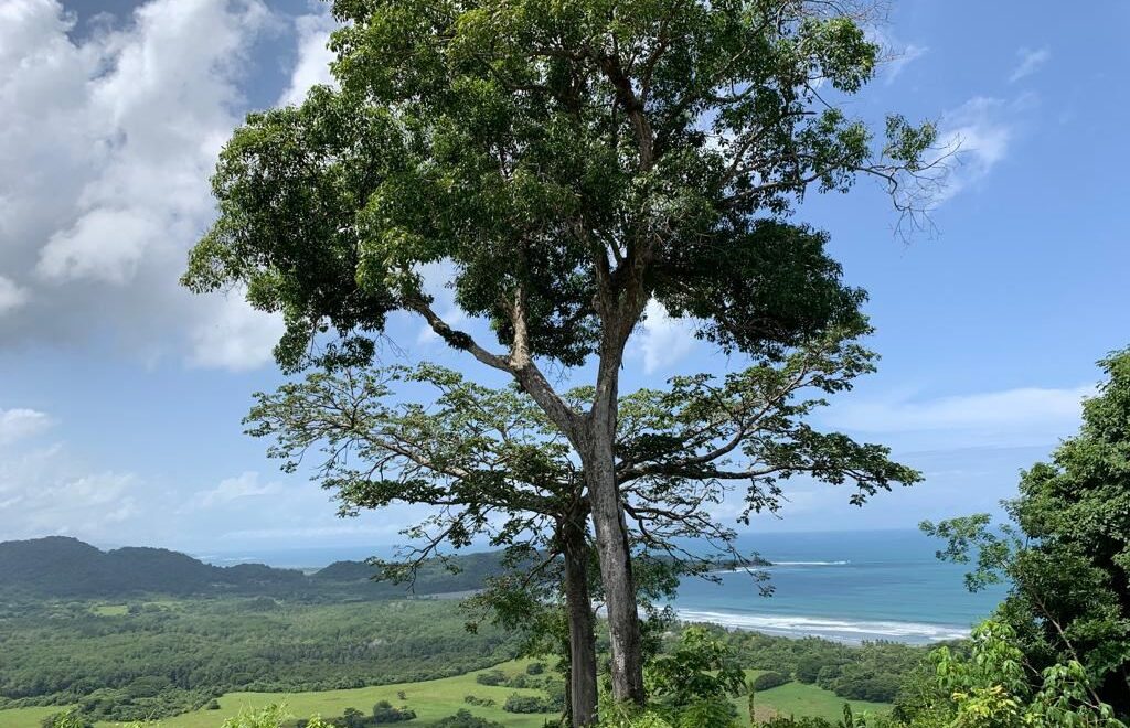 Costa de Oro Heights
