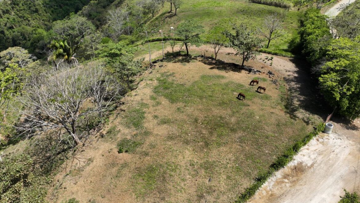 Costa Rica Real Estate