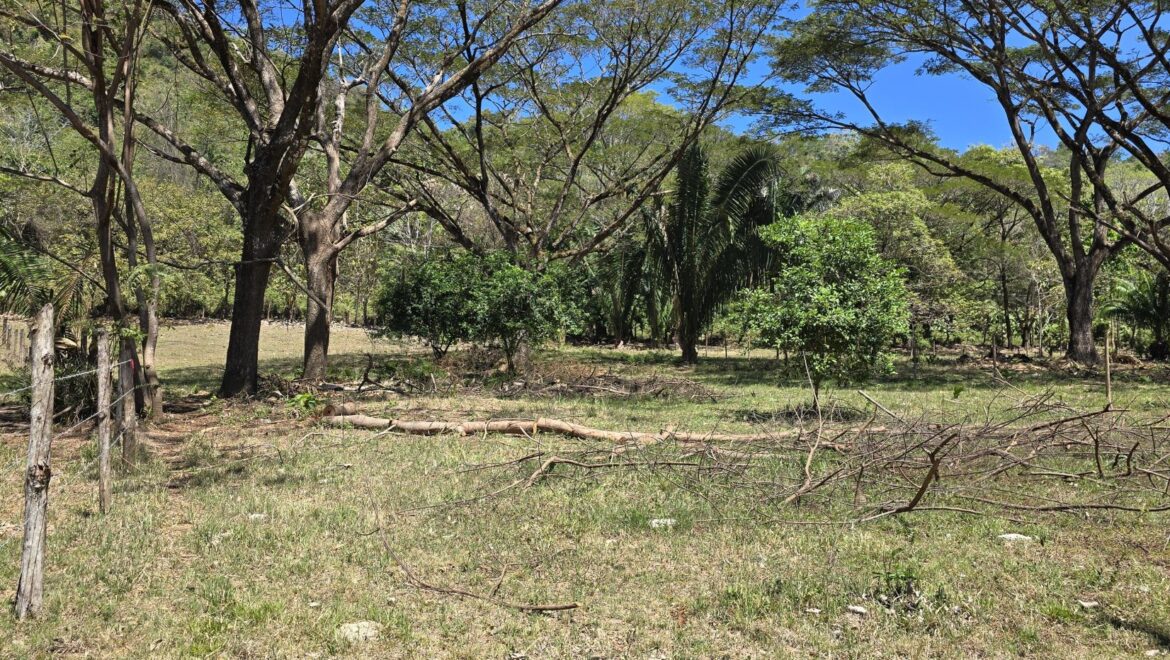 Costa Rica Real Estate