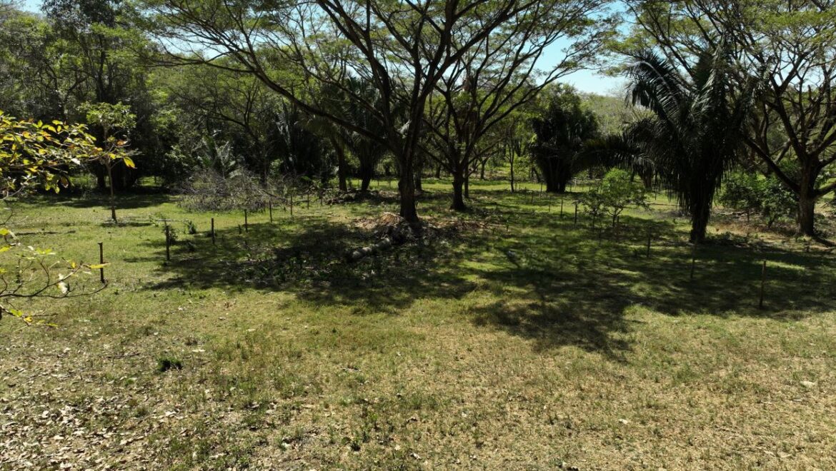 Costa Rica Real Estate