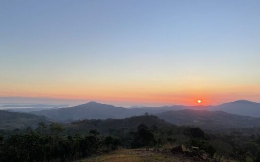 Breathtaking 360° Views | Profitable Coffee & Orange Farm