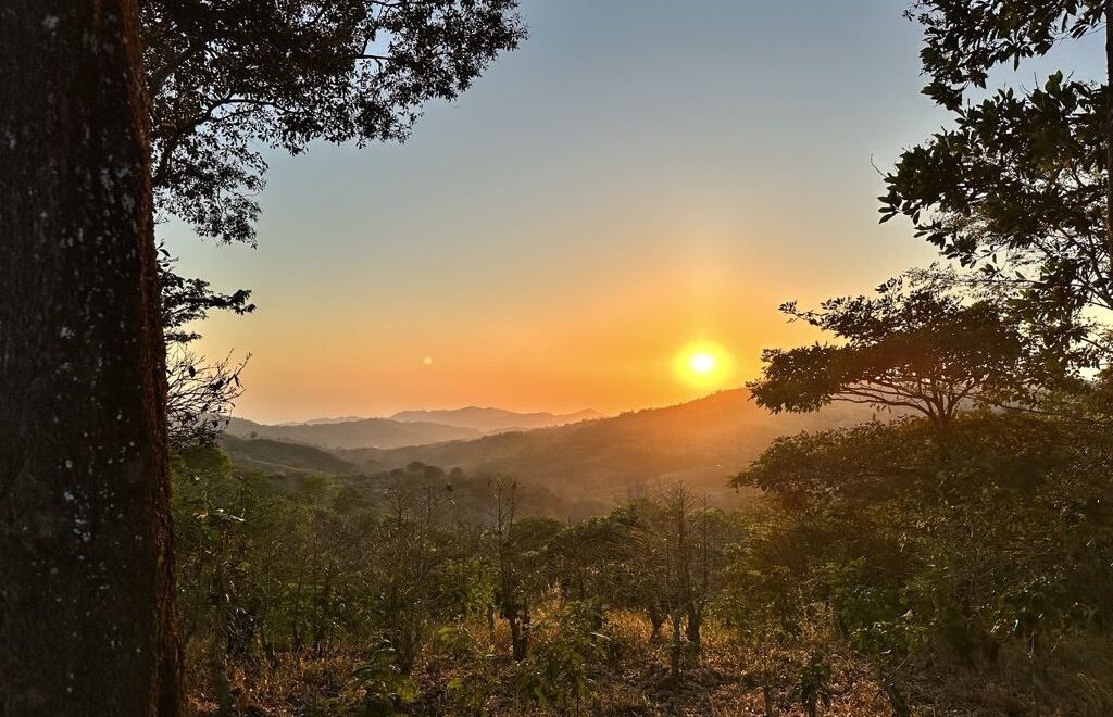 Breathtaking 360° Views | Profitable Coffee & Orange Farm
