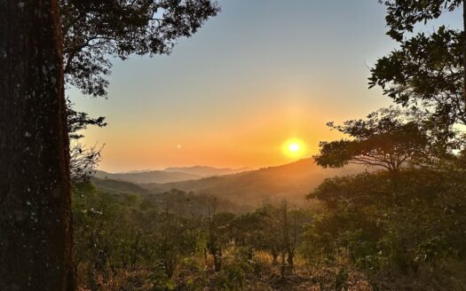 Breathtaking 360° Views | Profitable Coffee & Orange Farm