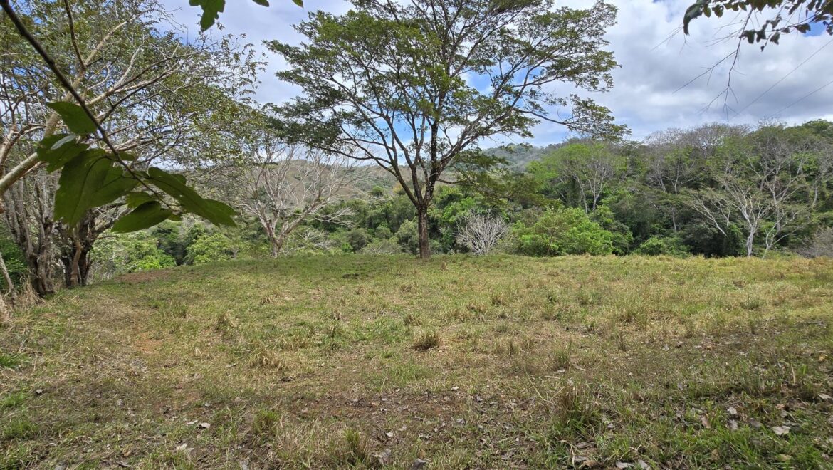 Costa Rica Real Estate