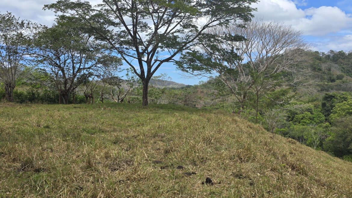 Secluded 2-Hectare Paradise by the River
