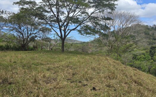 Secluded 2-Hectare Paradise by the River