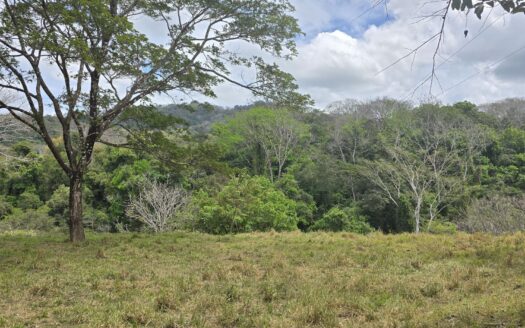 Secluded 2-Hectare Paradise by the River