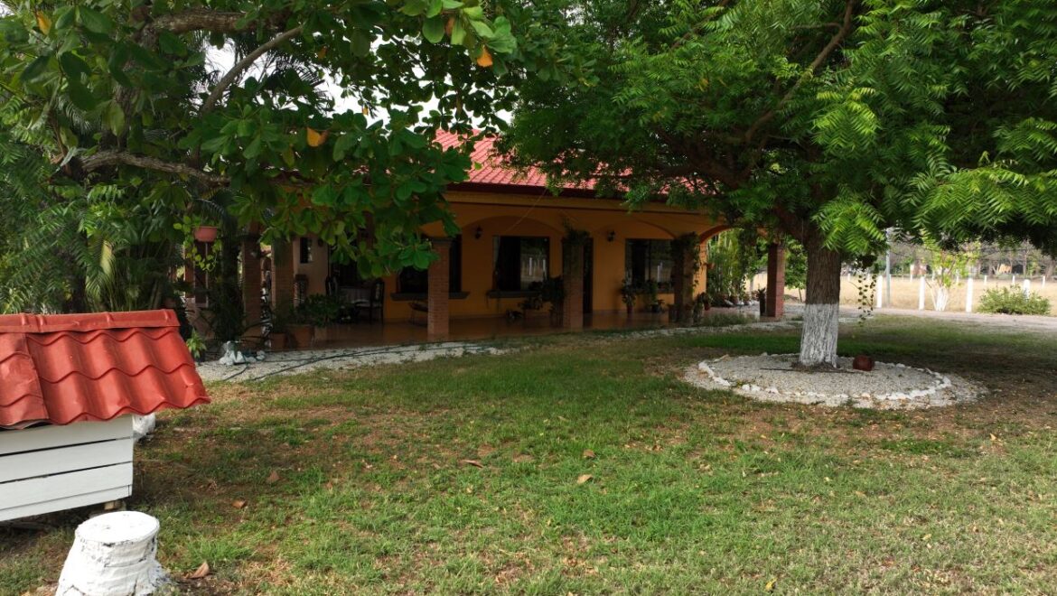 Nandayure