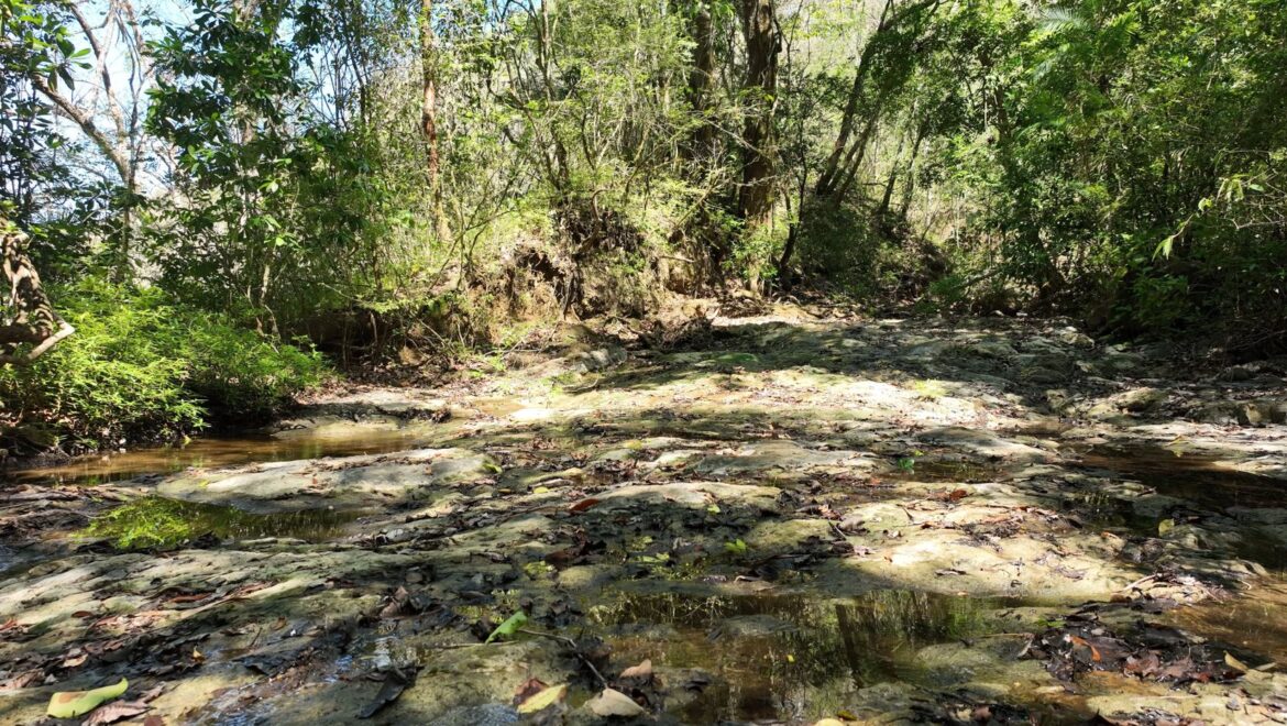 Costa Rica Real Estate