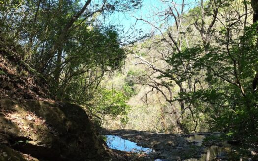 Expansive 41-Hectare Mountain Finca Near Hojancha