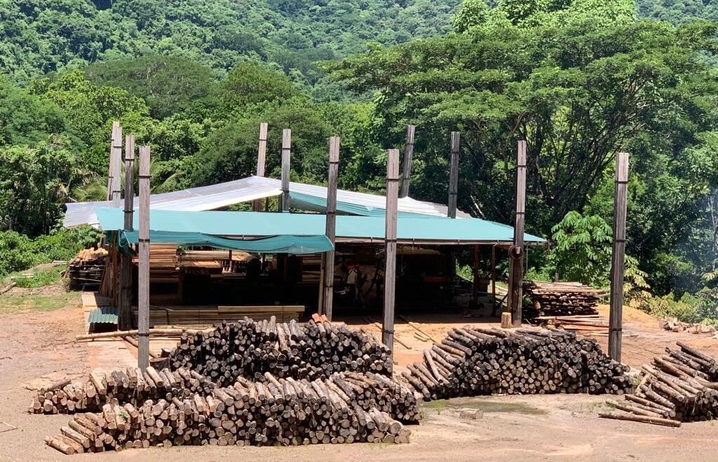 Waterfalls & Large Home – Nicoya Peninsula