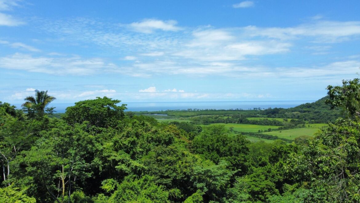 Ocean View Development Property | 10 Hectares | 5 Minutes to the Beach | Nicoya Peninsula