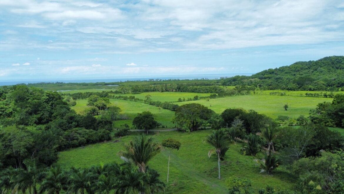 Costa Rica Real Estate