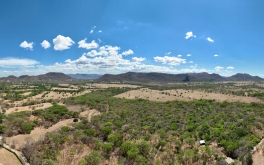 Flat 9.4 Hectare Property with Cacao Plantation & Public Road Frontage – Nicoya, Guanacaste For Sale