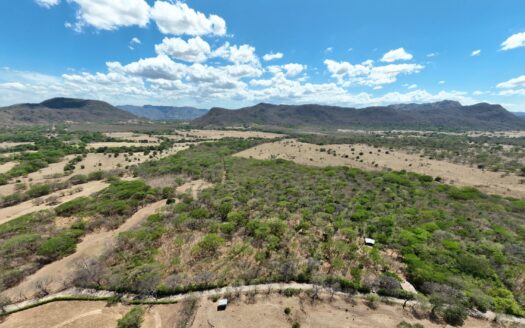 Flat 9.4 Hectare Property with Cacao Plantation & Public Road Frontage – Nicoya, Guanacaste For Sale