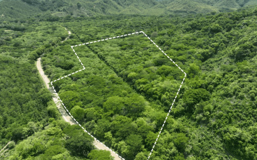 Cacao Farm with Irrigation & Public Road Frontage | 130,660 m² | La Fresca, Lepanto, Puntarenas For Sale