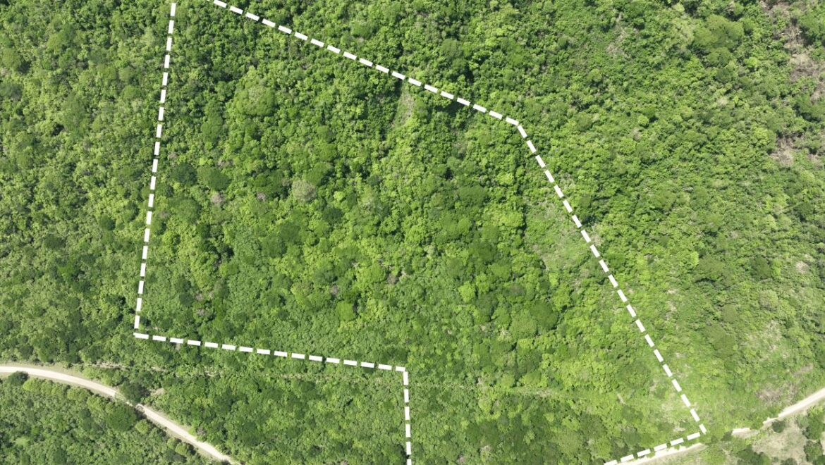 Costa Rica Real Estate