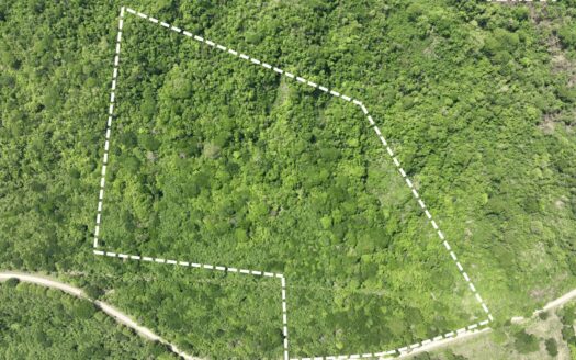 Cacao Farm with Irrigation & Public Road Frontage | 130,660 m² | La Fresca, Lepanto, Puntarenas For Sale