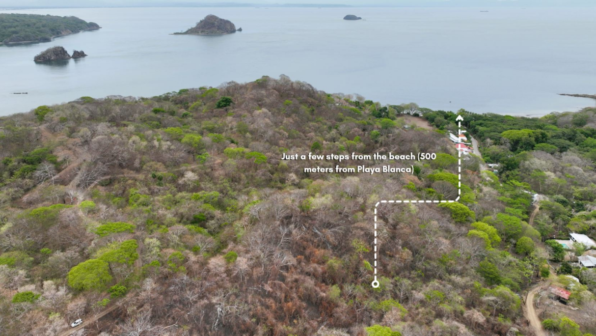 Costa Rica Real Estate