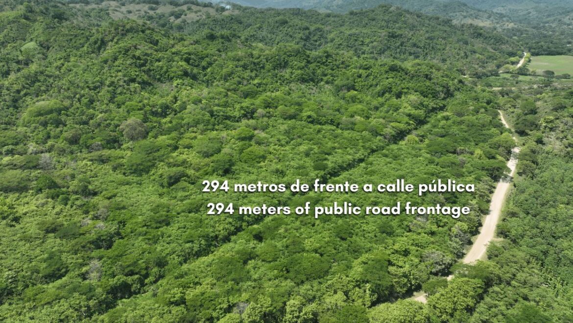 Cacao Farm with Irrigation & Public Road Frontage | 130