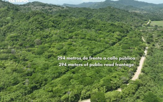 Cacao Farm with Irrigation & Public Road Frontage | 130,660 m² | La Fresca, Lepanto, Puntarenas For Sale