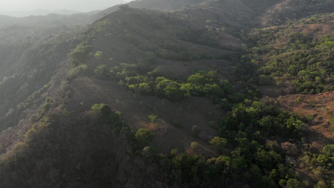 Guanacaste