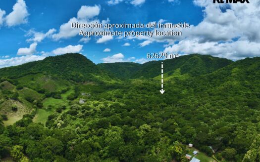 6.26-Hectare Productive Cacao Farm in Pilas de Canjel, Lepanto For Sale