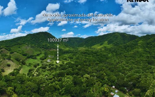 10.09-Hectare Cacao Plantation with Active Production in Pilas de Canjel For Sale