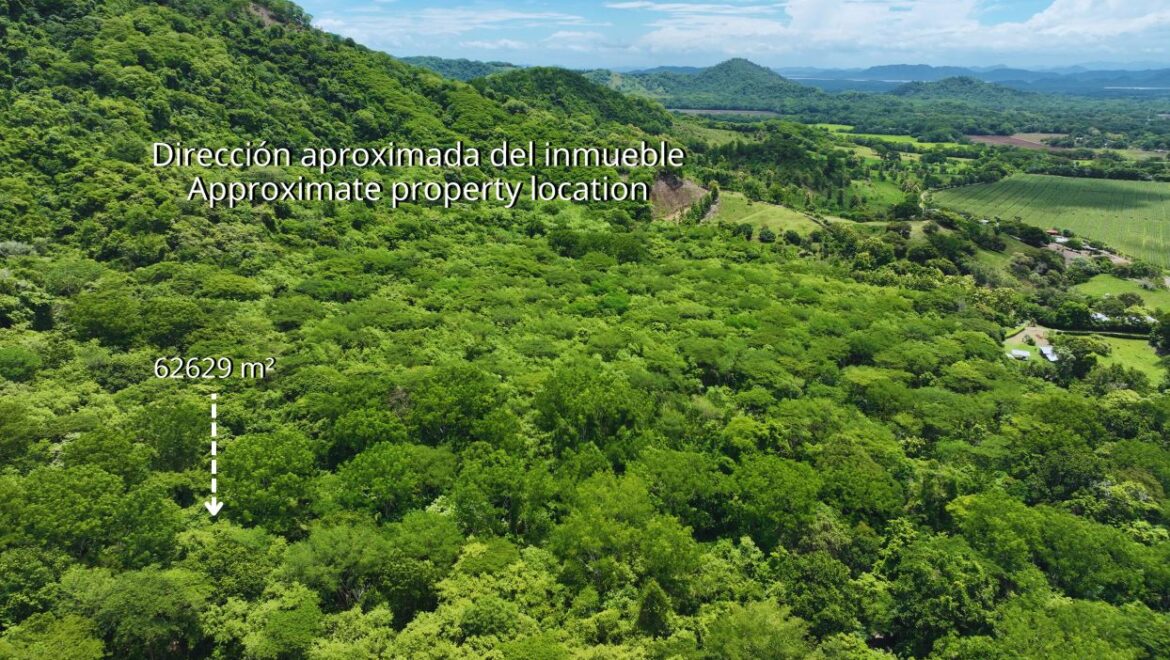 6.26-Hectare Productive Cacao Farm in Pilas de Canjel