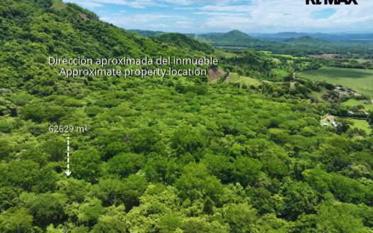 6.26-Hectare Productive Cacao Farm in Pilas de Canjel, Lepanto For Sale