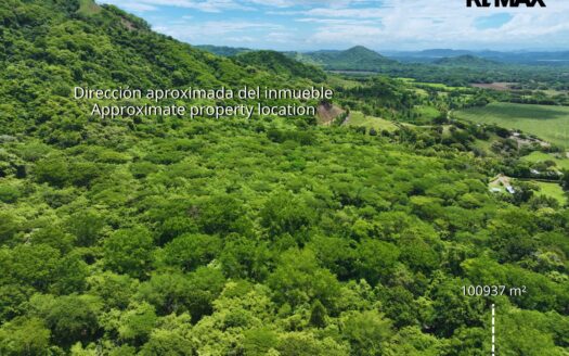 10.09-Hectare Cacao Plantation with Active Production in Pilas de Canjel For Sale