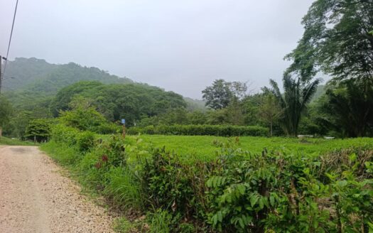 1,800 m² Lot Just 10 Minutes from the Beach on the Nicoya Peninsula For Sale