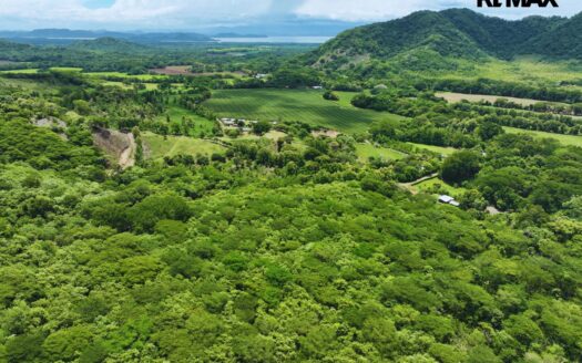 6.26-Hectare Productive Cacao Farm in Pilas de Canjel, Lepanto For Sale